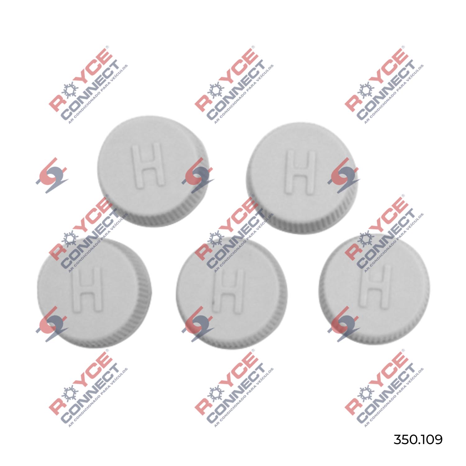 Produtos Catálogo Royce