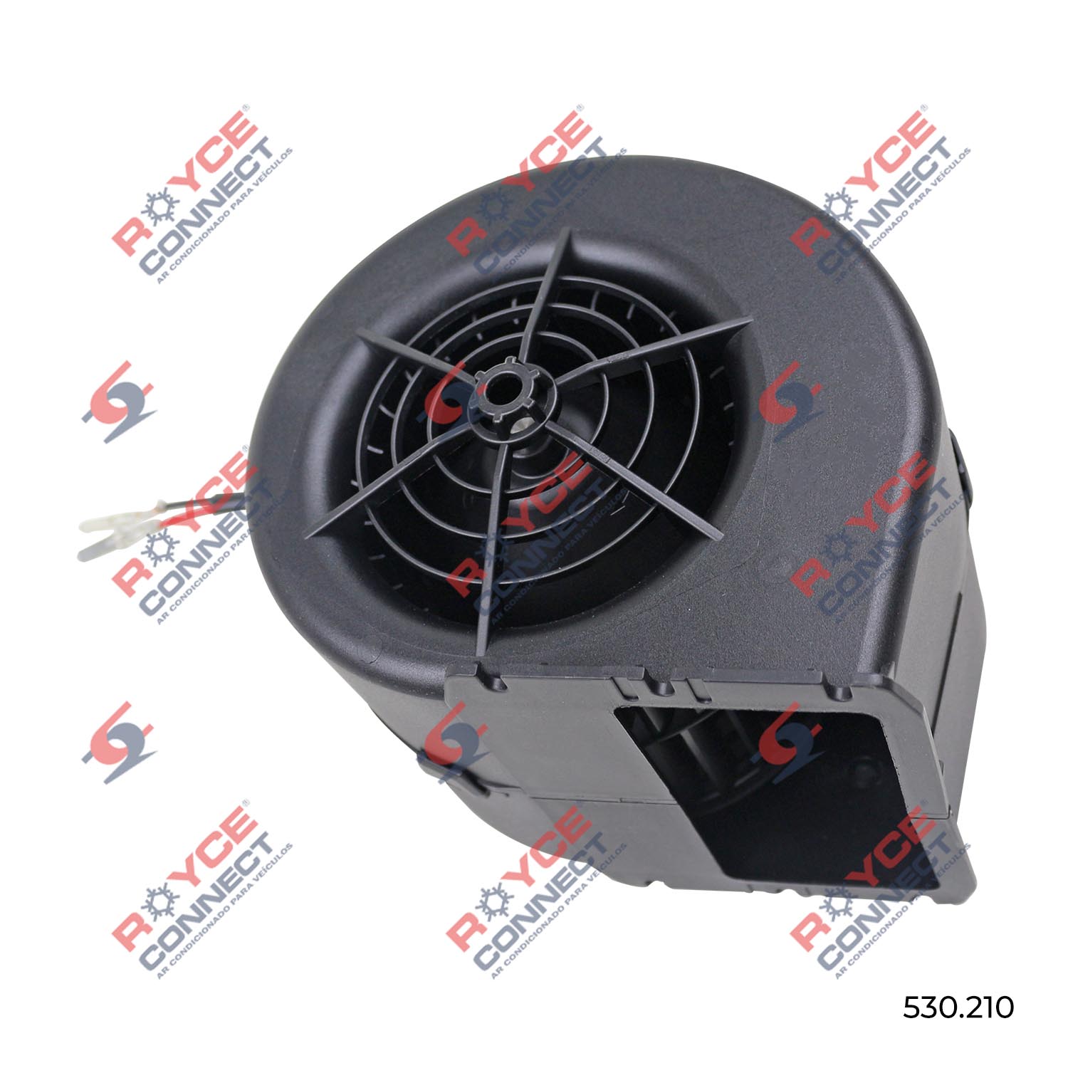 Produtos Catálogo Royce